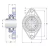 Корпус із підшипником FYTWK 25 YTA SKF