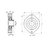 Корпус с подшипником FLCTEY 17 INA
