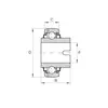 Подшипник GLE 45 KRRB FA125 PTI