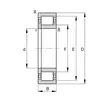 Подшипник NUP 205 E-XL-M1A-C4 FAG