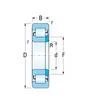Подшипник NUP 2310 E KINEX