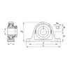 Корпус с подшипником RASE 50-XL-FA164 INA