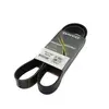 Пас 1275-8PK (R124785/AP1003118/0285254), JD (Dayco) R157687-DC
