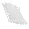 Хомут ленточный LAVITA 300 мм x 3,6 мм, 100 шт. пластиковый белый (LA 26_3.6X300W)