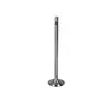 Клапан впускний MAN (вир-во Federal-Mogul AE) V95034 51.04101.0545