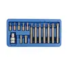 Насадки отверточные VOREL : адаптер квадрат 1/2" "TORX" T20-T55 30-75 мм CrV. Набор 15 шт.