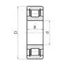 Подшипник 102304 (NCL304V) CT