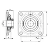 Корпус с подшипником PCF 40 INA