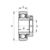 Подшипник RAE 25 NPPB FA 106 INA