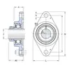 Корпус із підшипником FYTB 20 FM SKF
