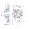 Корпус із підшипником FYTJ 30 TF SKF