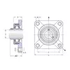 Корпус із підшипником FYK 30 TF SKF