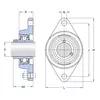 Корпус с подшипником FYT 30 TF/VA201 SKF