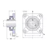 Корпус із підшипником FYK 20 TR SKF