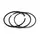 Кольца поршневые Perkins 1004.4 02-203093 2171573 800056410000 233-7231 UPRK0003 (JCB) 02/203093