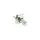 Лампа світлодіодна H4 24V 75/70 (43) 27 SMD (5050) 400Lm MEGALIGHT 21052