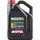 (EN) 4T engine oil 10W50 NGEN 5 4л 4Т, API SP JASO MA-2 Полусинтетический NGEN 5 10W50 4L 111832