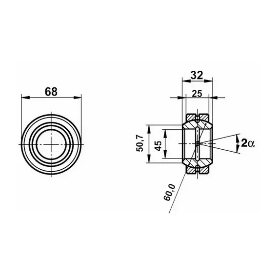 Підшипник GE 45 E 2RS/GE45 ES 2RS Fluro
