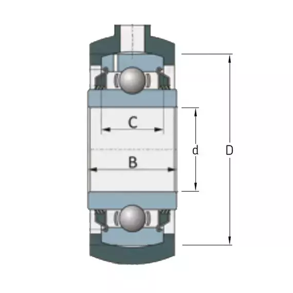 Підшипник GW 211 PPB21-BR211 RH (2410110) CT-AGRI