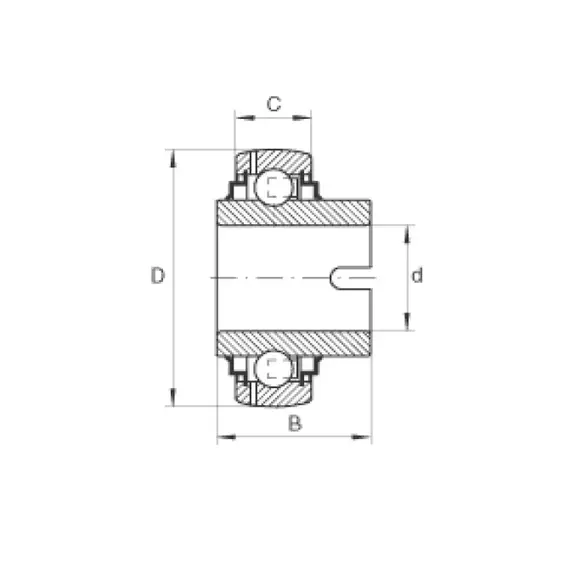Підшипник GLE 45 KRRB FA125 PTI