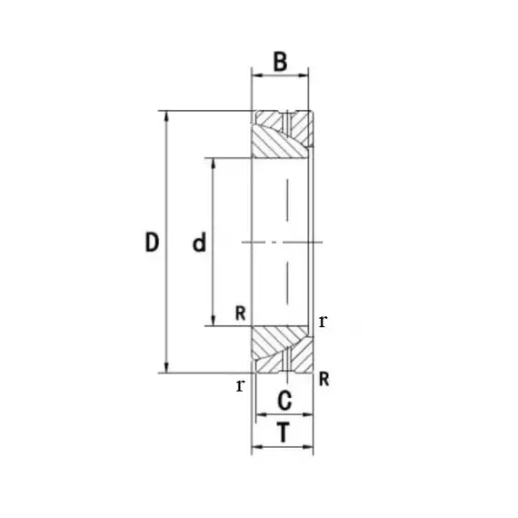 Підшипник GE 100 SX PTI
