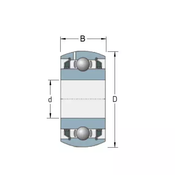 Підшипник GW 214 PPB3 NTE