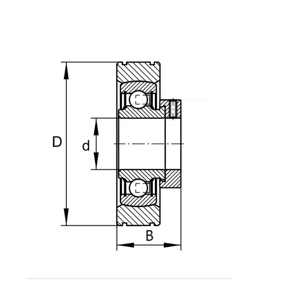 Підшипник PE 25 INA