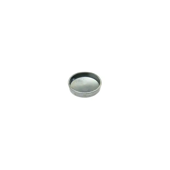 Заглушка БЦ/ГБЦ (3914035/3007635/3900957)(D25.4мм), Guardian (дв.QSB6,7), DCEC 040086