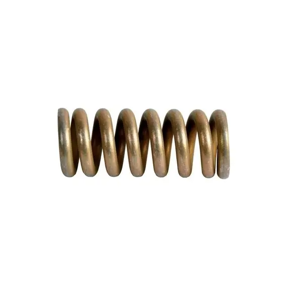 Пружина похил.камери TC5080 (Alfa Parts) 80426325-AS
