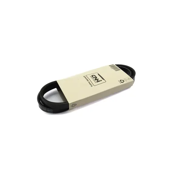 Пас (Case) 4899373
