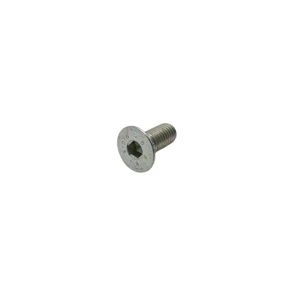 Болт M8X1.25X20 U5933 10.9 ZD, Gaspardo F01030055