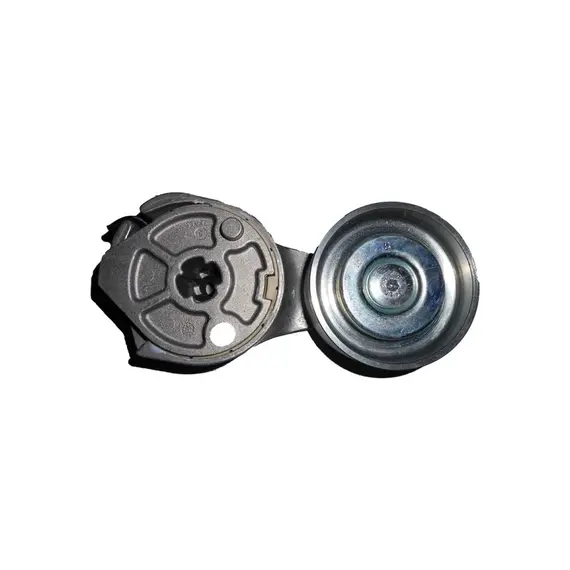 Ролик натяжний паса (2852396/2856946/504065874/2856173), TC5080 / SPX3320