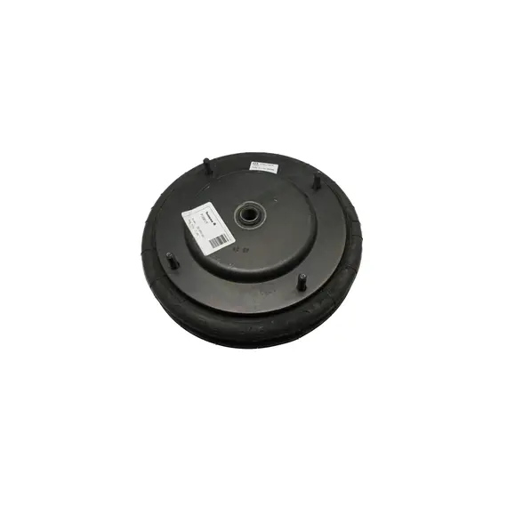 Подушка рами 12X2X2Av , Tecnoma, Berthoud