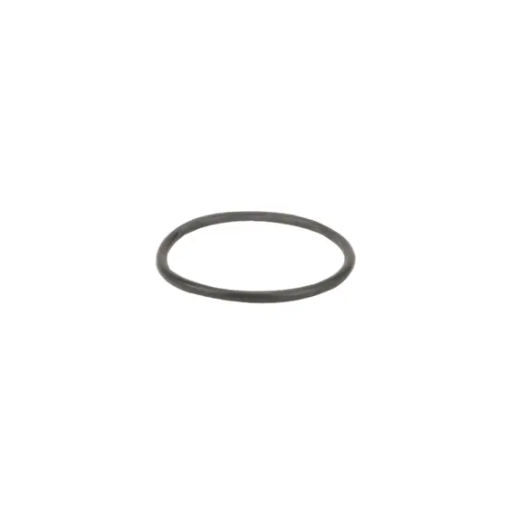 Уплотнение колбы, EPDM (B0772592/PMLS150-G), BANJO