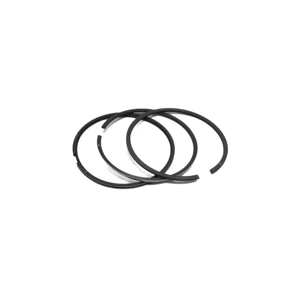 Кольца поршневые комплект AA D-100 mm 4181A019 4181A015 4181A014 6I2215 6I2220 7E7702 (JCB) SKX051524