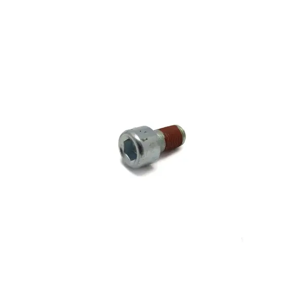 Гвинт із шестигранним отвором (TVH PARTS N.V. (П)) 52552319-TS