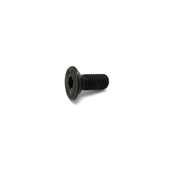 Гвинт із шестигранним отвором (TVH PARTS N.V. (П)) 600670-TS