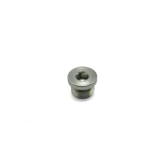 Заглушка (TVH PARTS N.V. (П)) 603638-TS