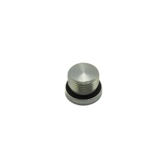 Заглушка (TVH PARTS N.V. (П)) 603638-TS, фотография 2