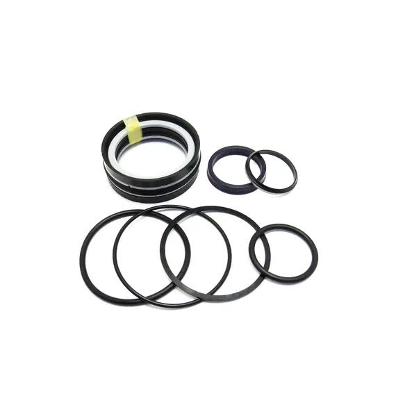 Ремкомплект цилиндра 208925/210435 (TVH PARTS N.V. (П)) 202096-TS
