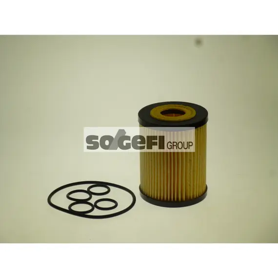 Фільтр оливи FRAM (CH10876ECO)