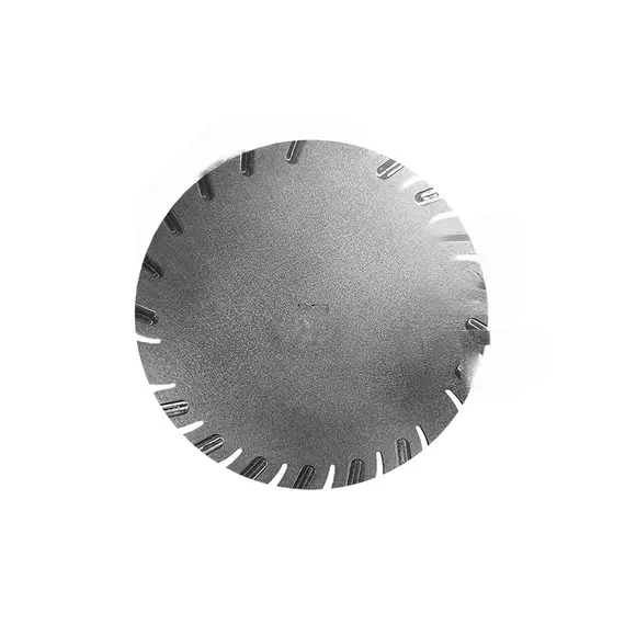 Диск Horcsh 24018935 2,5х21 высевающий для сеялки