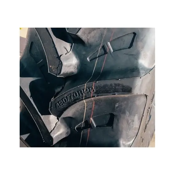 Шина с/г 420/70R28 R-1W 133A8/133B Tubeless (Tianli), фотография 2