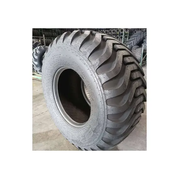 Шина с/г 550/60-22.5 FTB 190 20 сл 171A8/167B Tubeless (Ascenso), фотография 3
