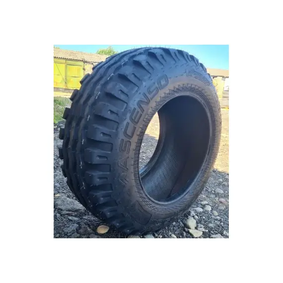 Шина с/г 10.0/75-15.3 (260/75-15.3) IMB 160 14 сл 130A8/118A8 Tubeless (Ascenso), фотография 3