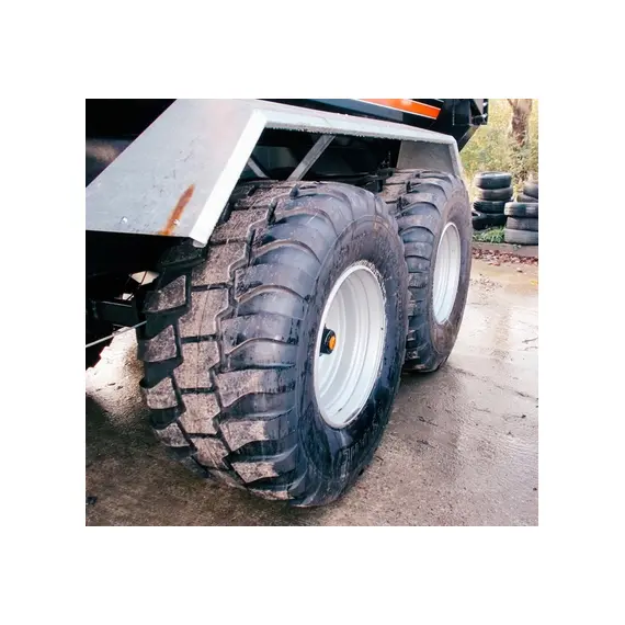 Шина с/х 650/50R22.5 AGRO GRIP IMP 163D Tubeless (Tianli), фотография 2