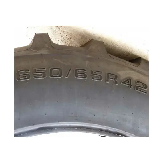 Шина с/г 650/65R42 R-1W 165D/168A8 Tubeless (Tianli), фотография 2