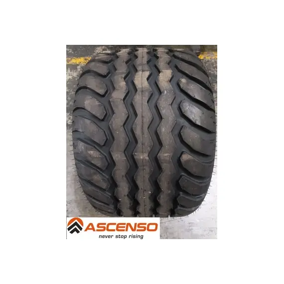 Шина с/г 19.0/45-17 (480/45-17) IMB 161 14 сл 146A8/134A8 Tubeless (Ascenso), фотография 2