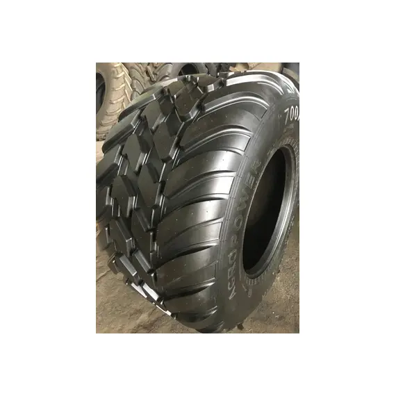 Шина с/г 700/50R26.5 DN-111 168D Tubeless (ДШЗ)
