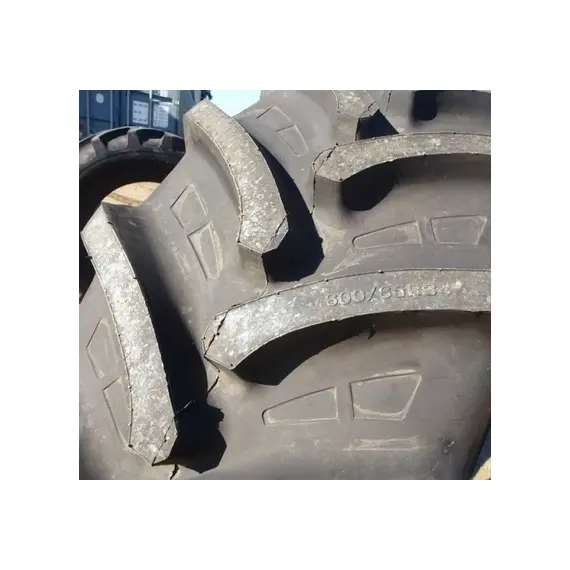 Шина с/г 600/65R34 R-1W 151D/154A8 Tubeless (Tianli), фотография 3